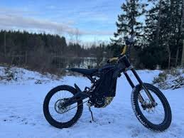 Family Surron rides